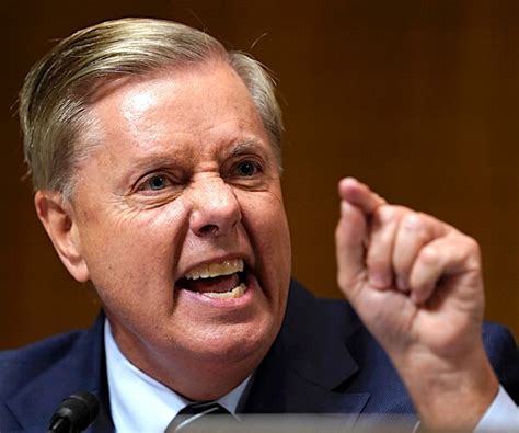 Lindsey graham newsmax. Things To Know About Lindsey graham newsmax. 